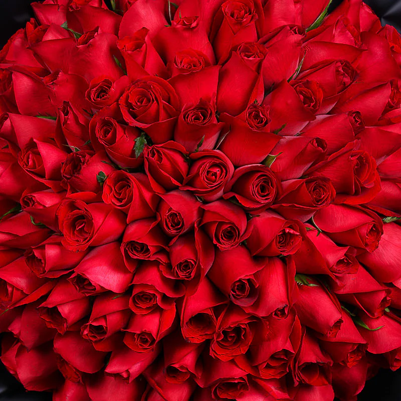 99 Red Roses Midnight Edition - Image 3