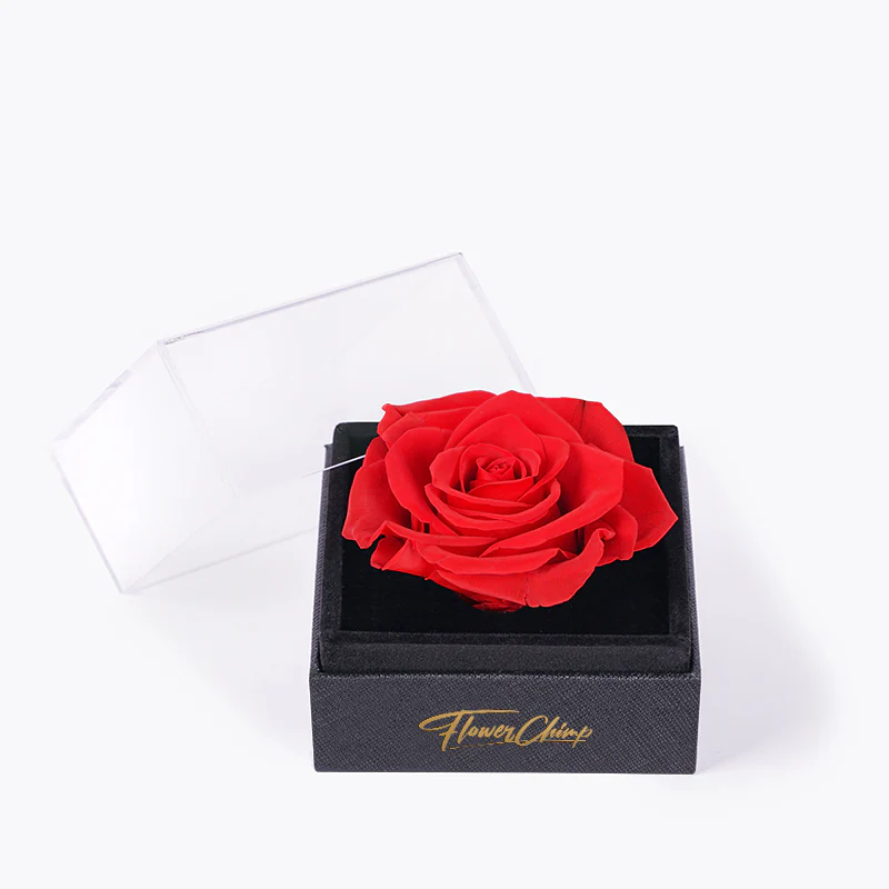 Enchanted Rose - Image 3
