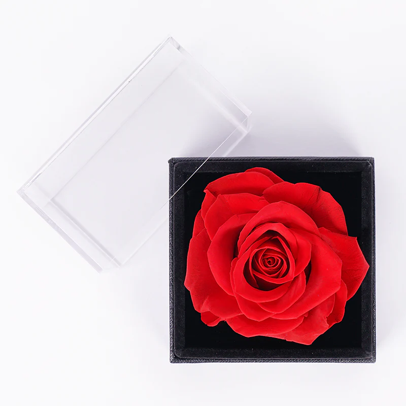 Enchanted Rose - Image 4