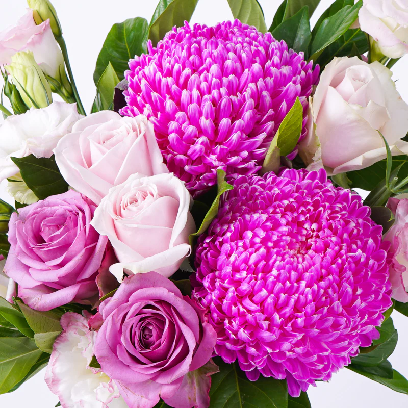Lilac Love - Image 2