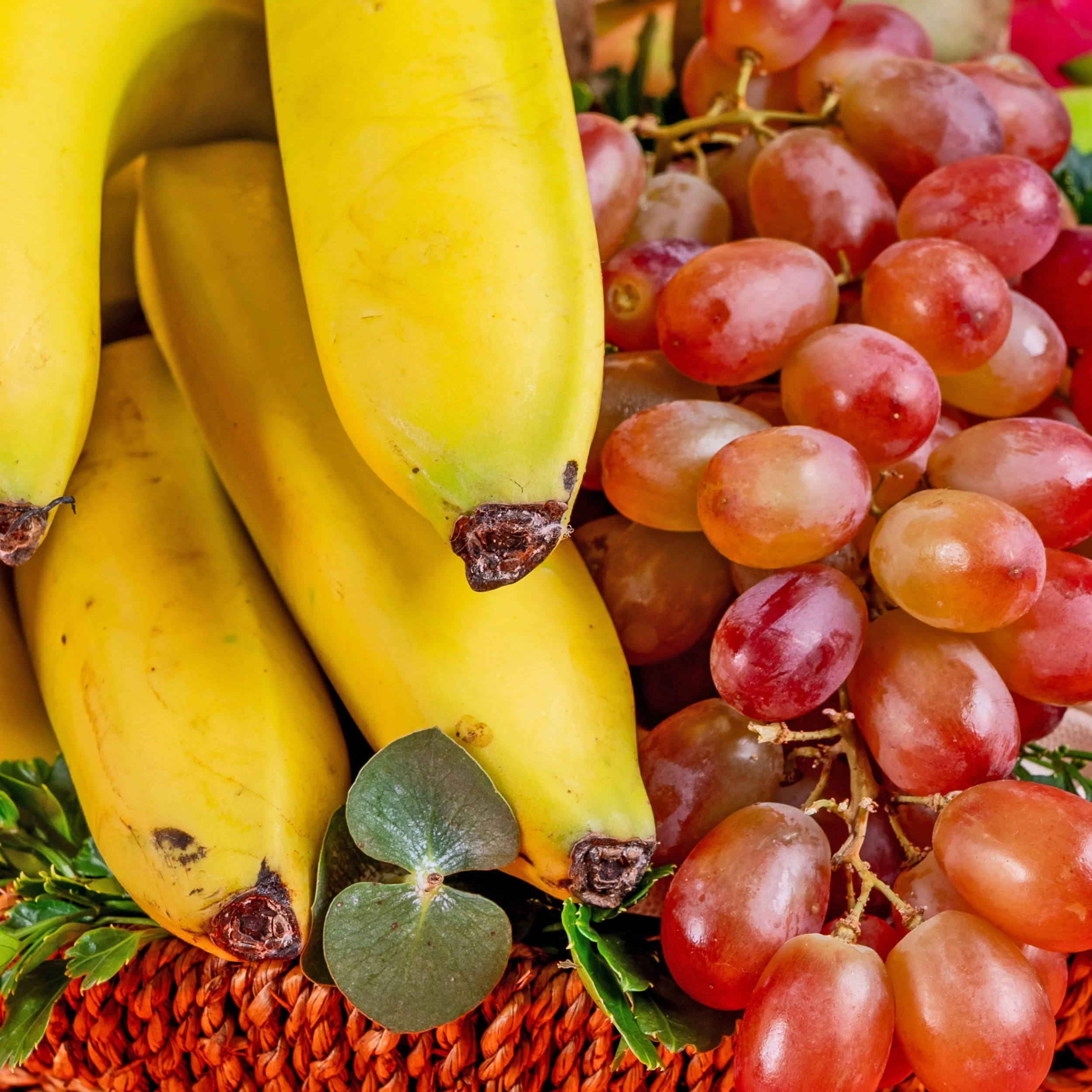 Medium Fruit Basket - Image 3