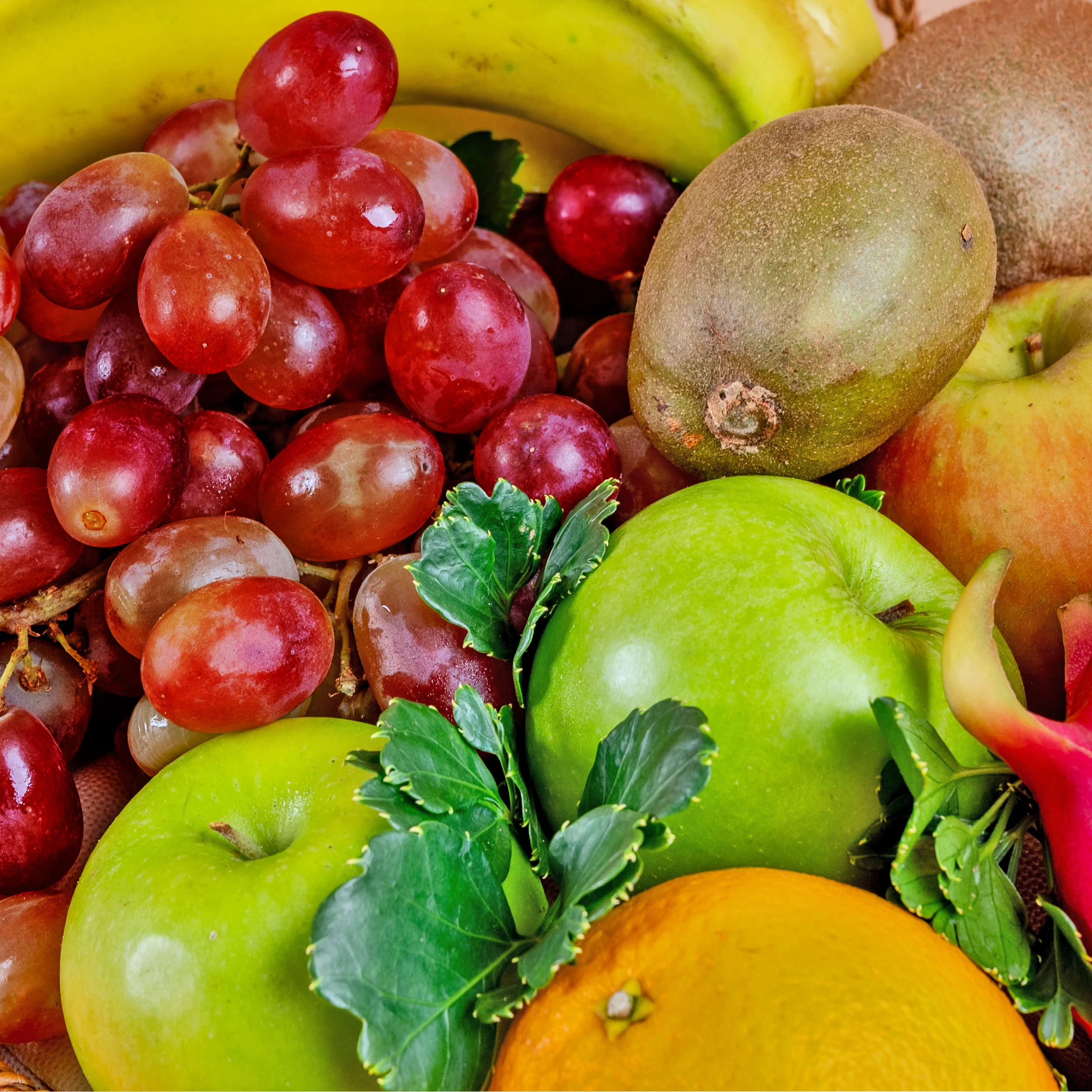 Medium Fruit Basket - Image 4