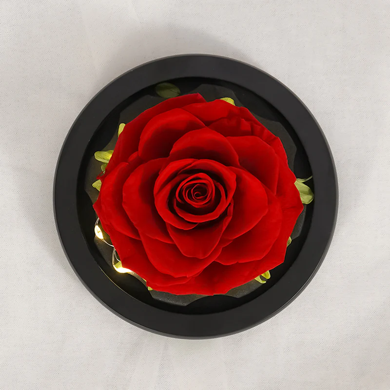 The Petal of Love - Image 3