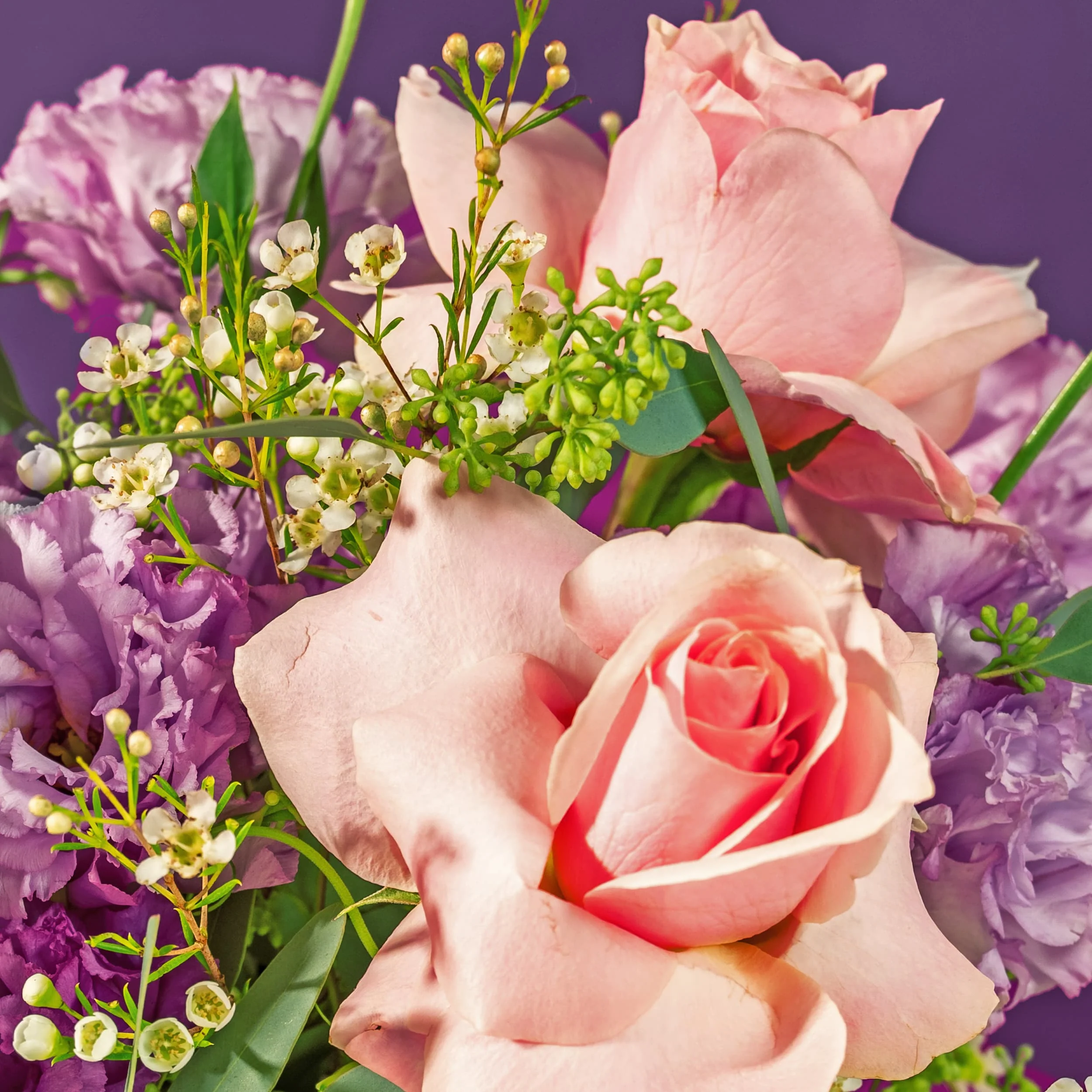 Pretty Pink Roses - Image 3