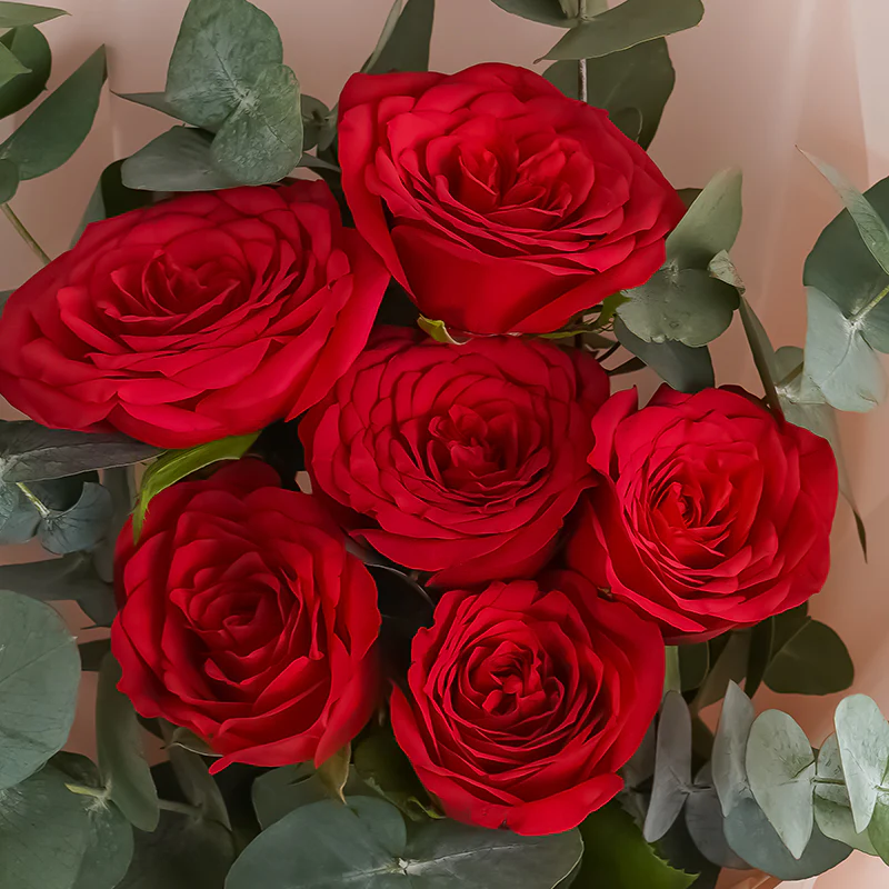 Royal Red - Image 5