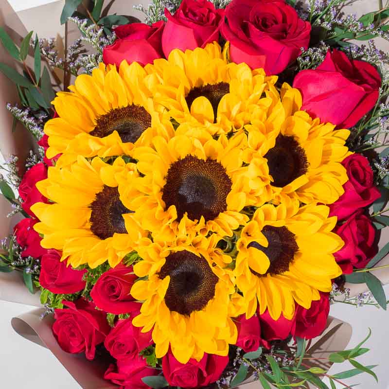 Sunset Roses - Image 3