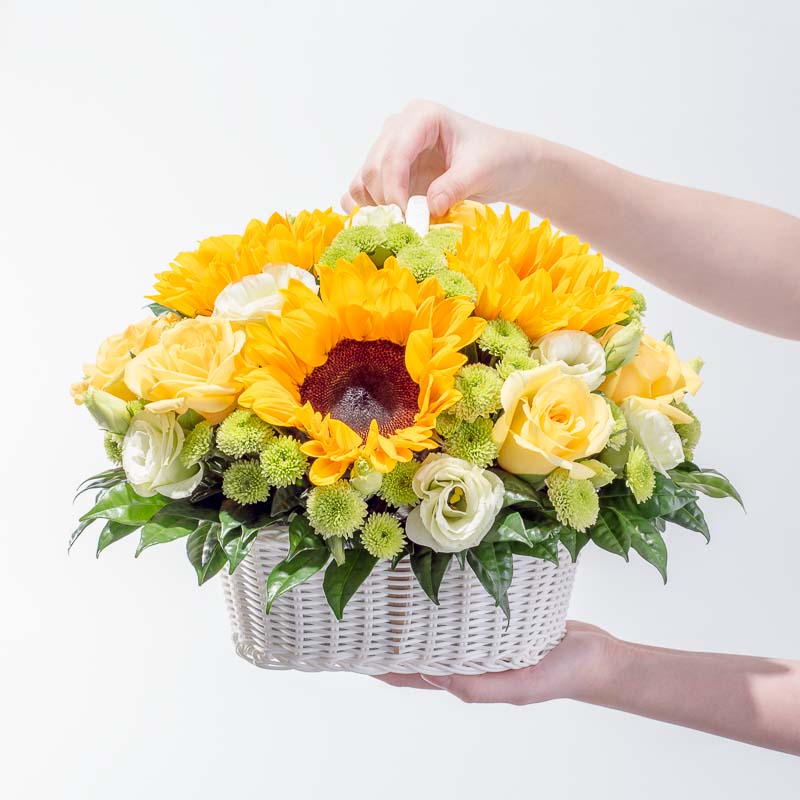 Sunshine Twins - Image 4