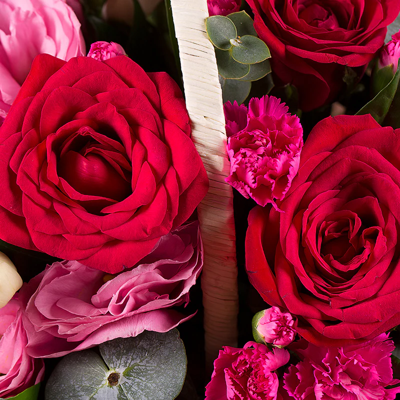 Sweet Hues - Image 4