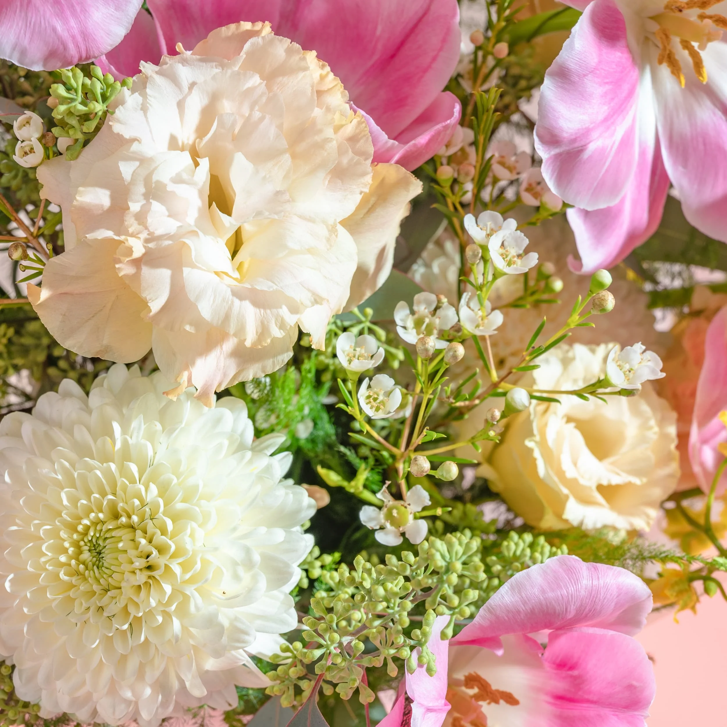 Sweet Tulips - Image 3