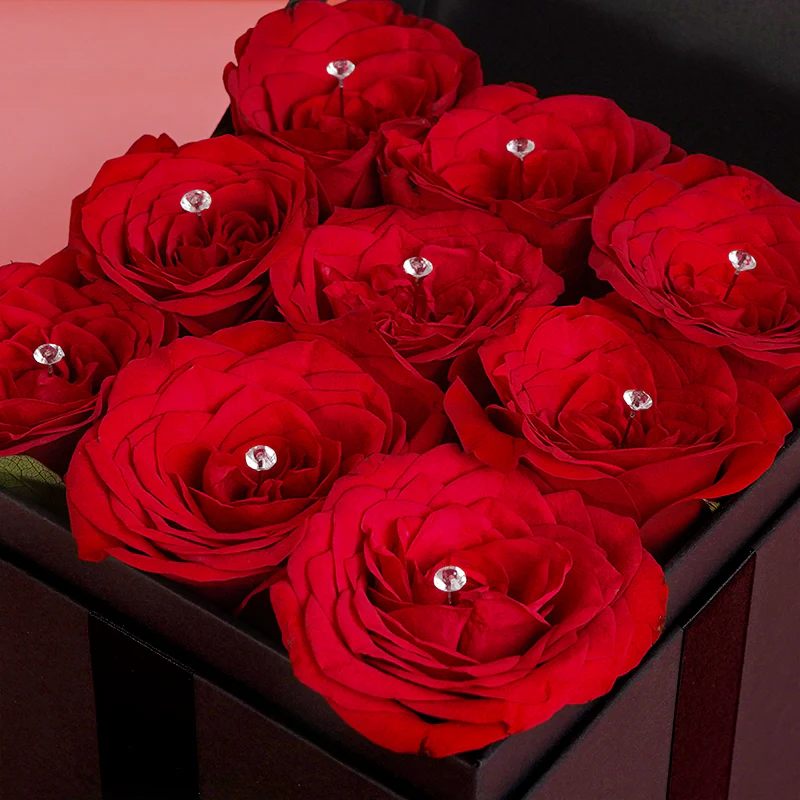 Trinity Box - Scarlet Treasure - Image 3