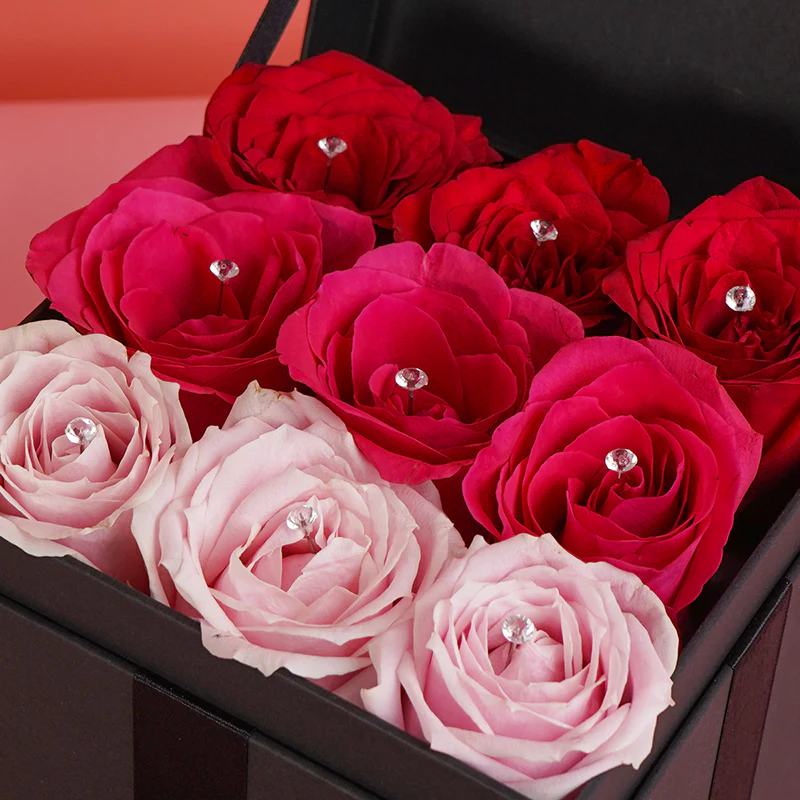 Trinity Box - Shades of Love - Image 3