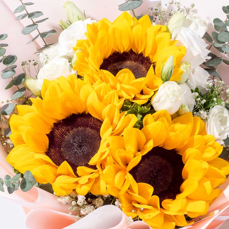Walking On Sunshine - Image 5